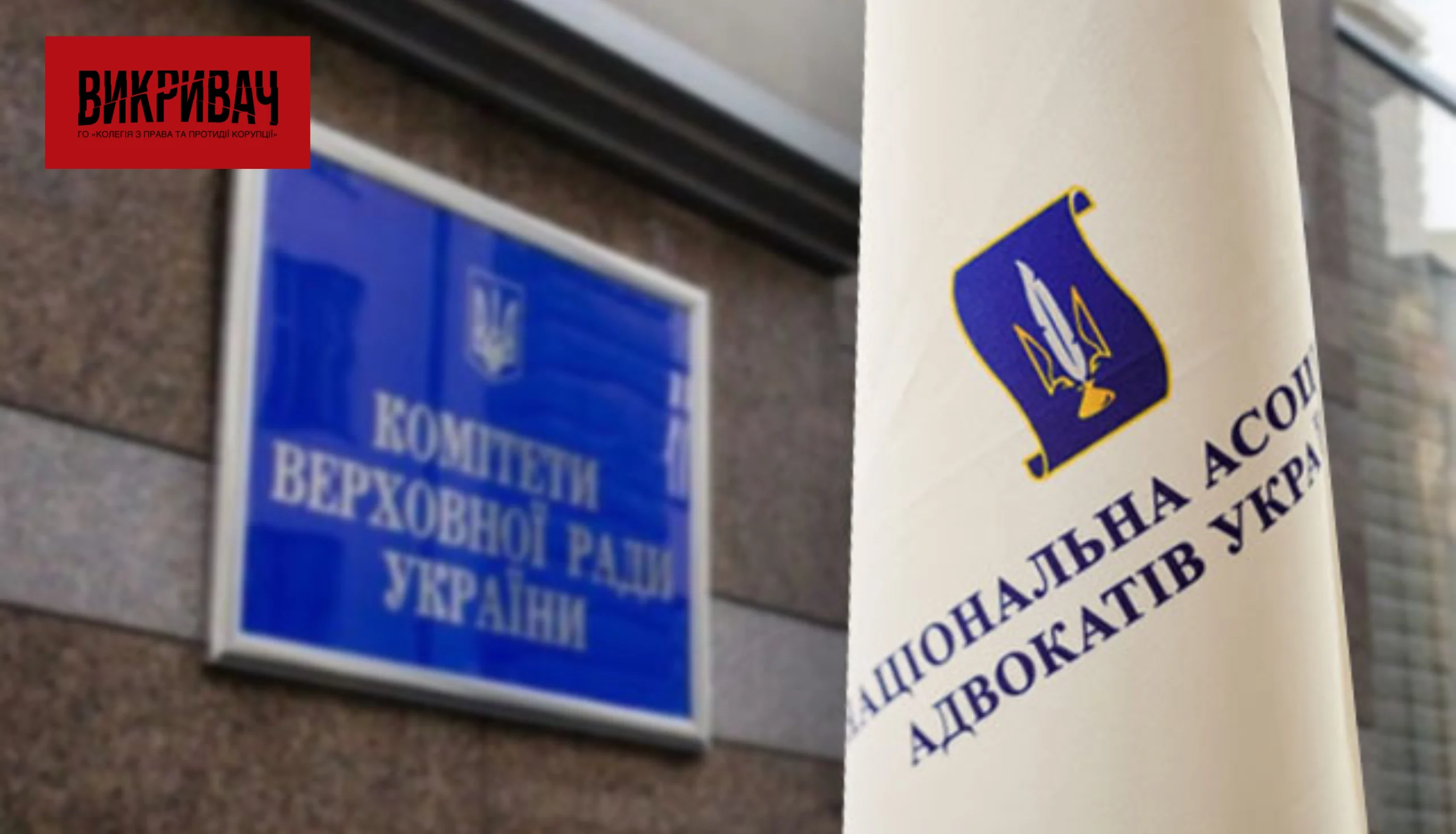 НААУ закликає державу прискорити ратифікацію Конвенції про захист професії